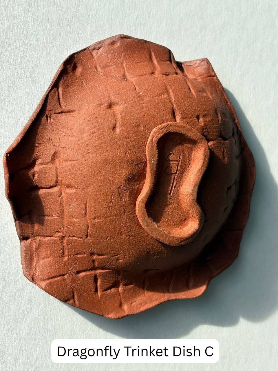 -- Dragonfly Dishes --