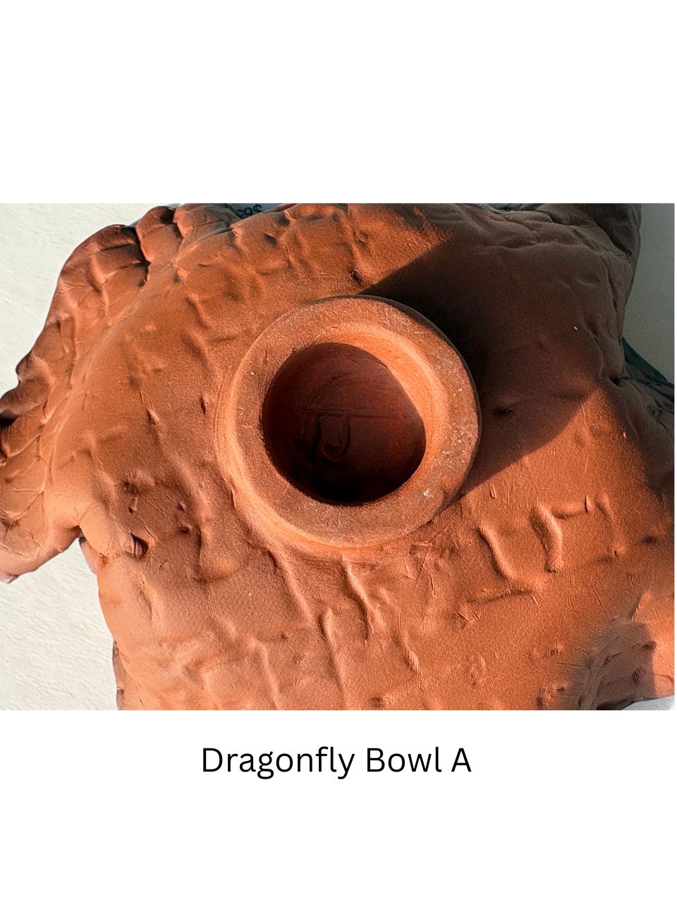 -- Dragonfly Dishes --
