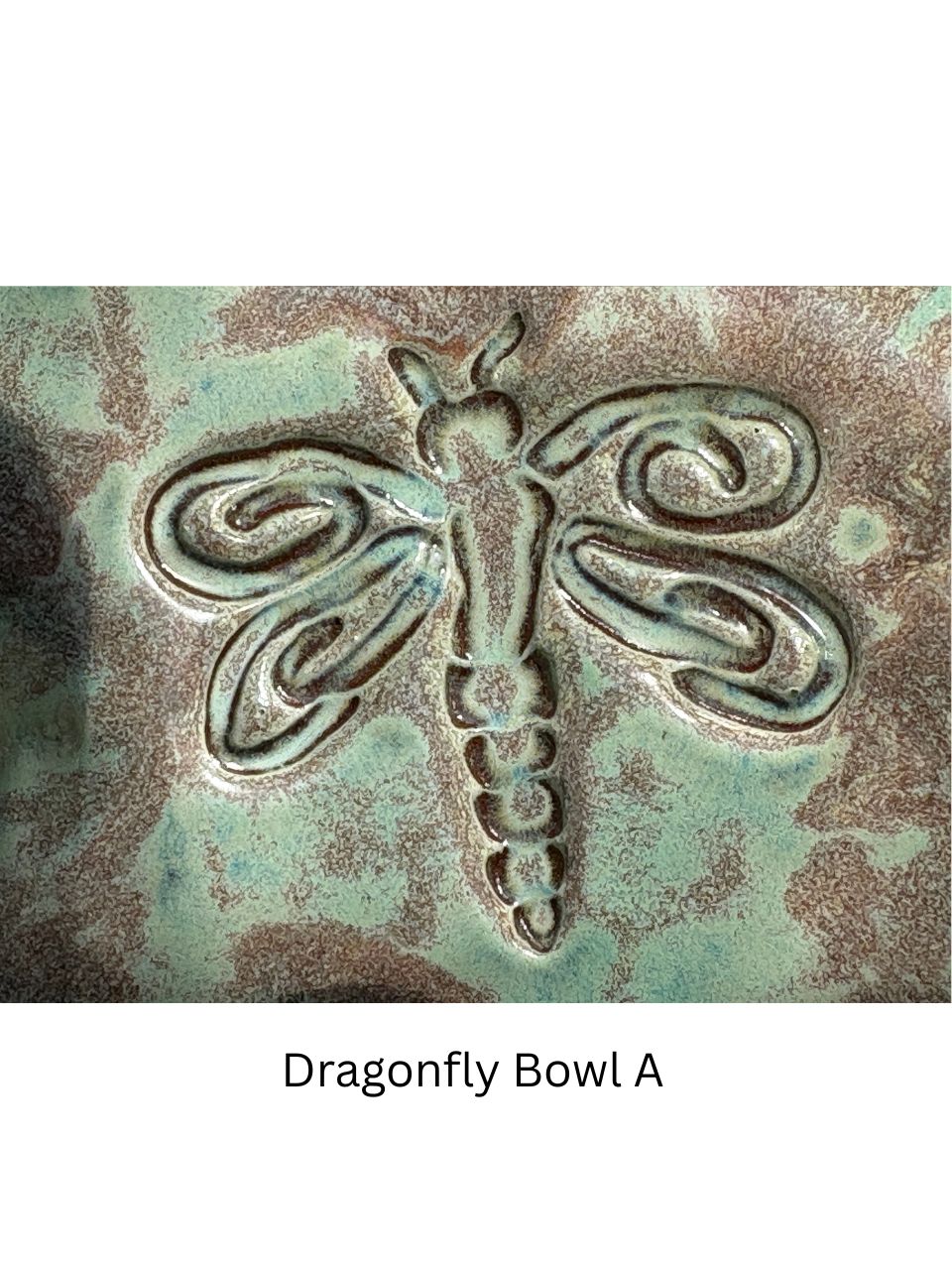 -- Dragonfly Dishes --